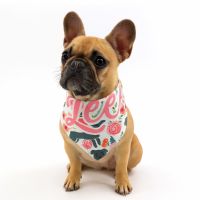 DyeTrans® Pet Bandana Sublimation Blank - 25" x 7.25