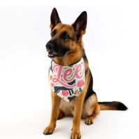 DyeTrans® Pet Bandana Sublimation Blank - 34" x 10.5"
