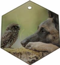 ColorLyte Sublimation Blank Glass Ornament - 3" x 3.5" Hexagon